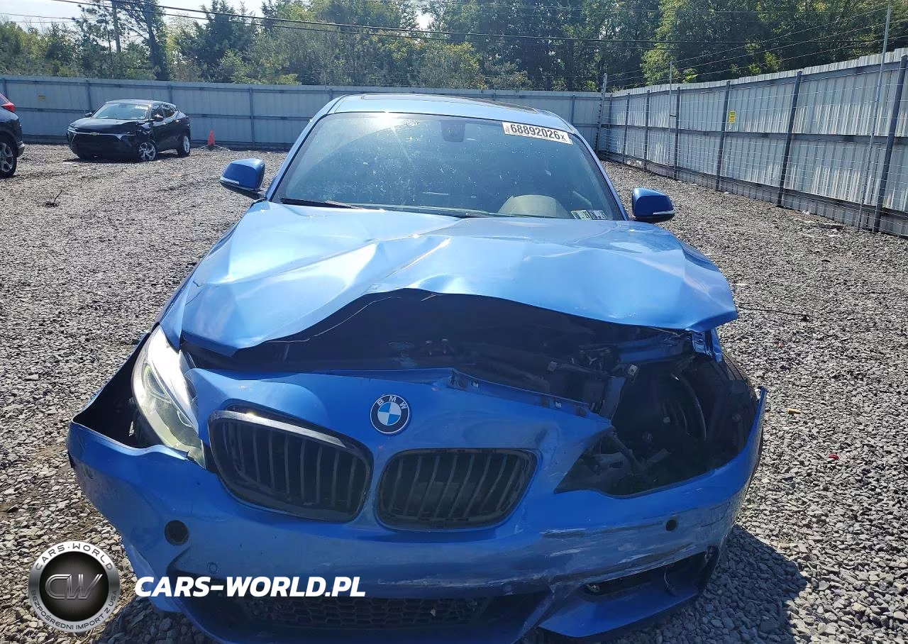 2017 BMW 230Xi VIN:WBA2H9C51HV642056 - 5