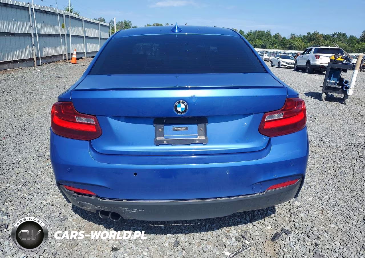 2017 BMW 230Xi VIN:WBA2H9C51HV642056 - 6