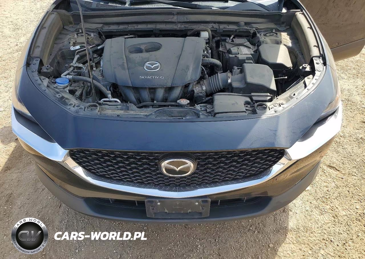 2021 Mazda Cx-30 Premium VIN:3MVDMBDL8MM318181 - 11