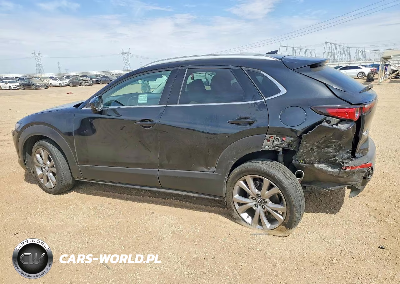 2021 Mazda Cx-30 Premium VIN:3MVDMBDL8MM318181 - 2
