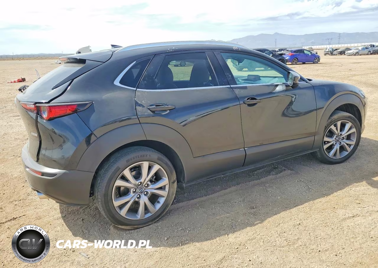 2021 Mazda Cx-30 Premium VIN:3MVDMBDL8MM318181 - 3