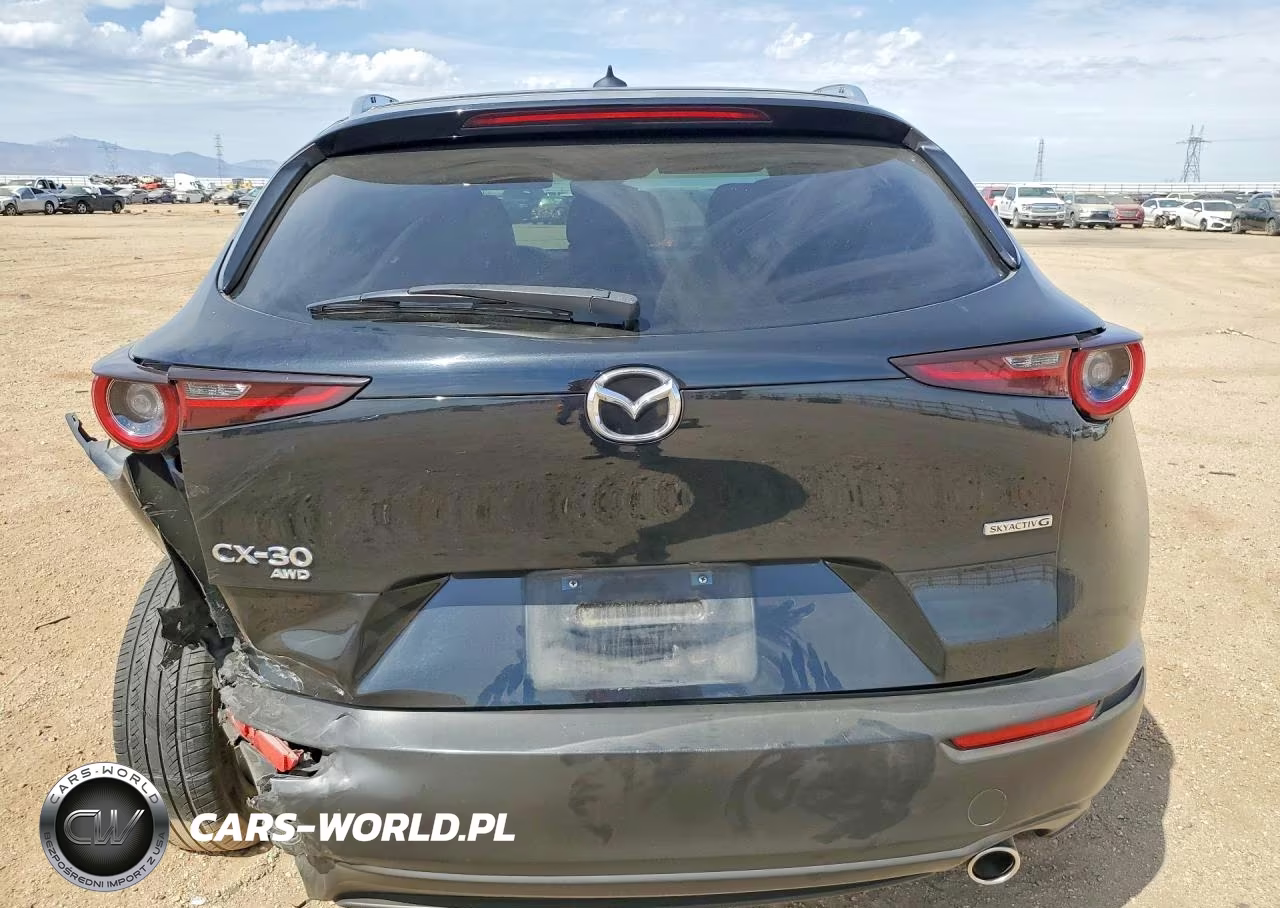 2021 Mazda Cx-30 Premium VIN:3MVDMBDL8MM318181 - 6
