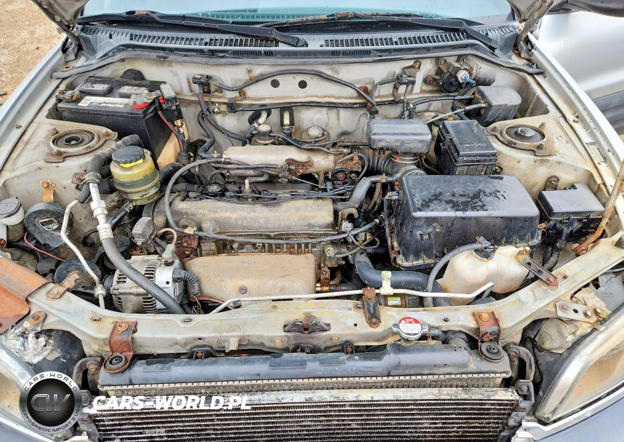 1998 Toyota Rav4 Base VIN:JT3HP10V8W0171009 - 11