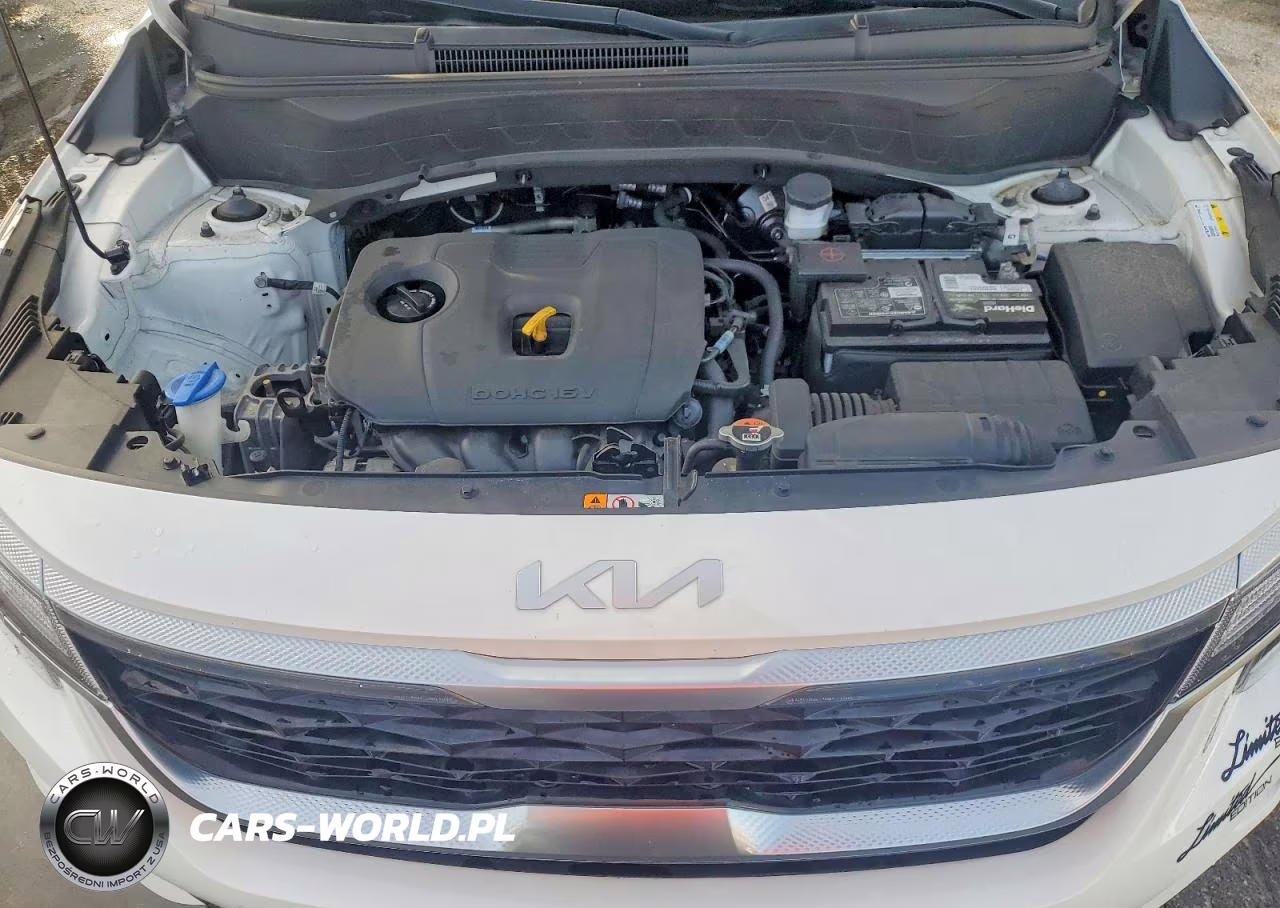 2025 Kia Seltos VIN:KNDEUCAA8P7380239 - 12