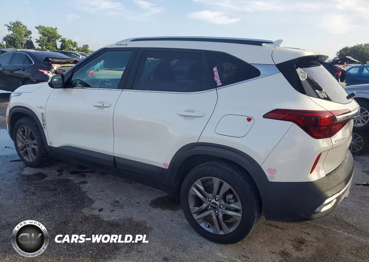 2025 Kia Seltos VIN:KNDEUCAA8P7380239 - 2