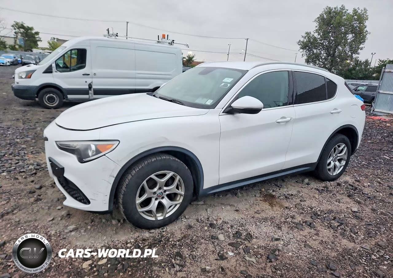 2019 Alfa Romeo Stelvio VIN:ZASPAKAN6K7C69235 - 1