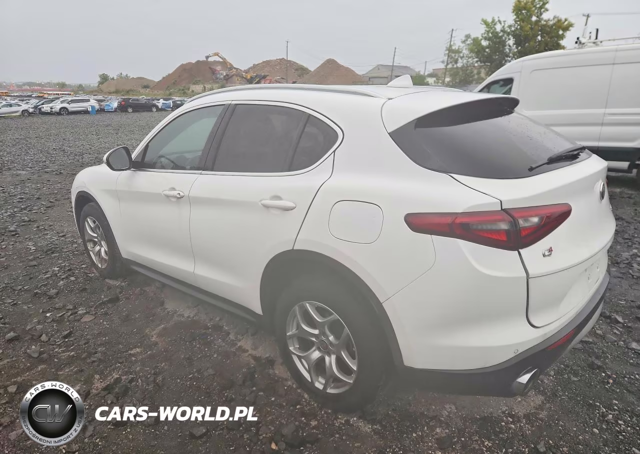 2019 Alfa Romeo Stelvio VIN:ZASPAKAN6K7C69235 - 2