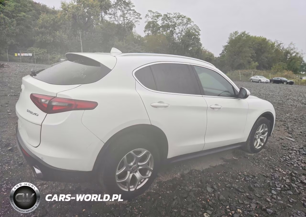 2019 Alfa Romeo Stelvio VIN:ZASPAKAN6K7C69235 - 3