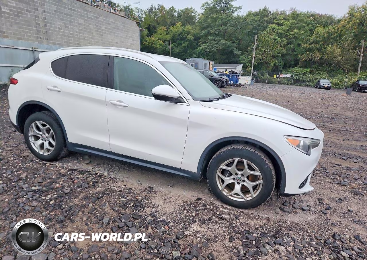 2019 Alfa Romeo Stelvio VIN:ZASPAKAN6K7C69235 - 4