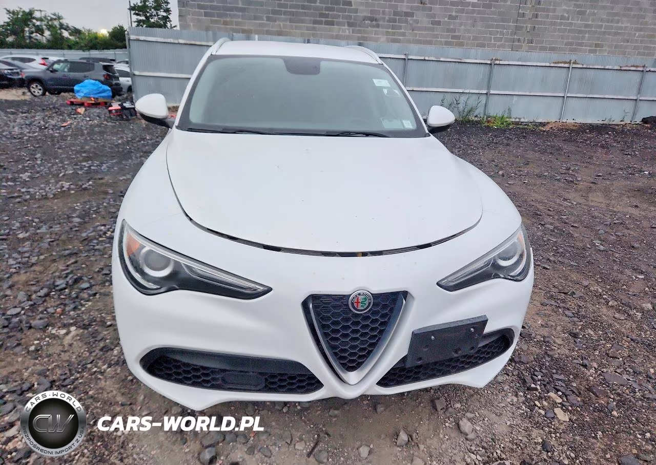 2019 Alfa Romeo Stelvio VIN:ZASPAKAN6K7C69235 - 5