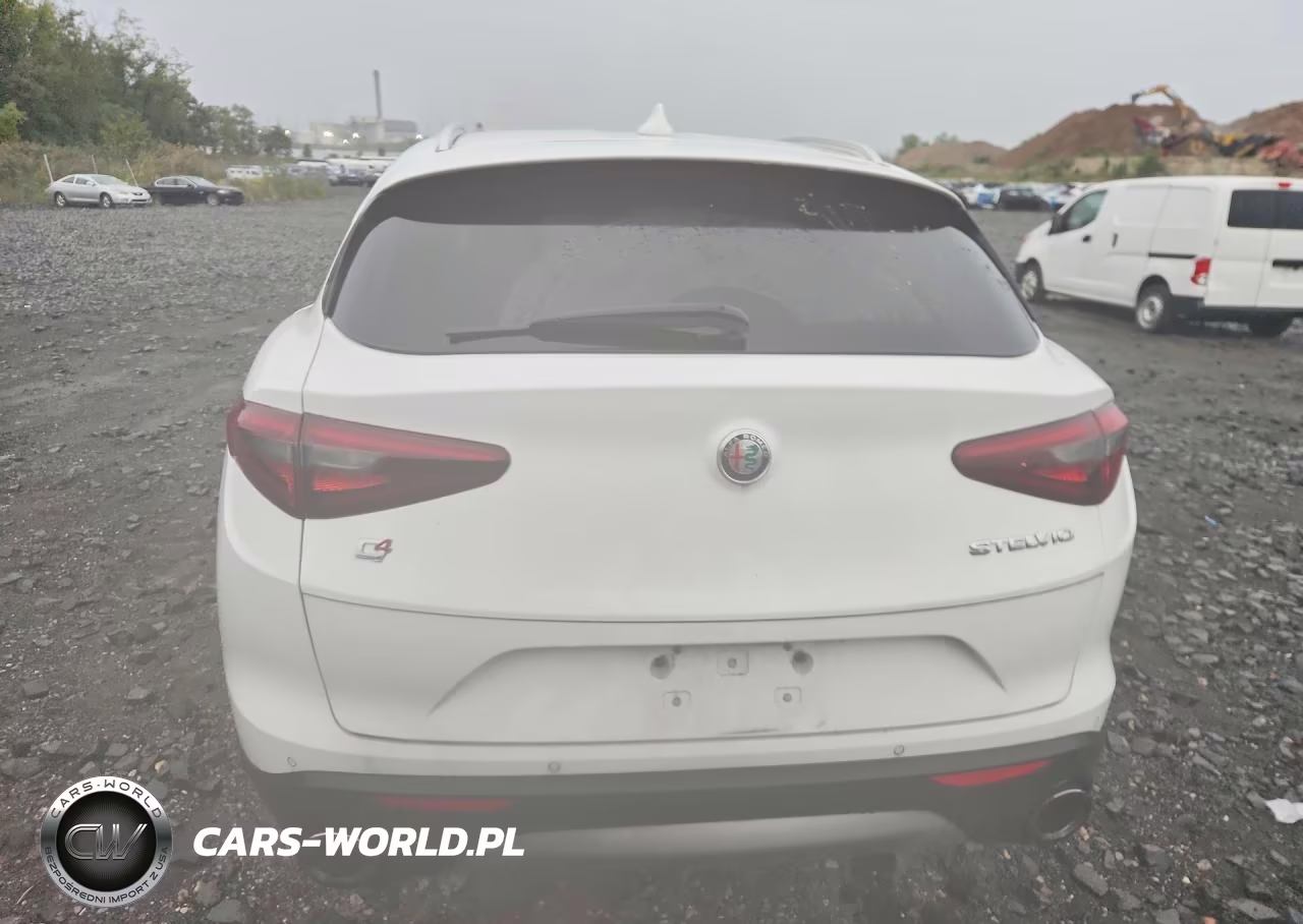2019 Alfa Romeo Stelvio VIN:ZASPAKAN6K7C69235 - 6