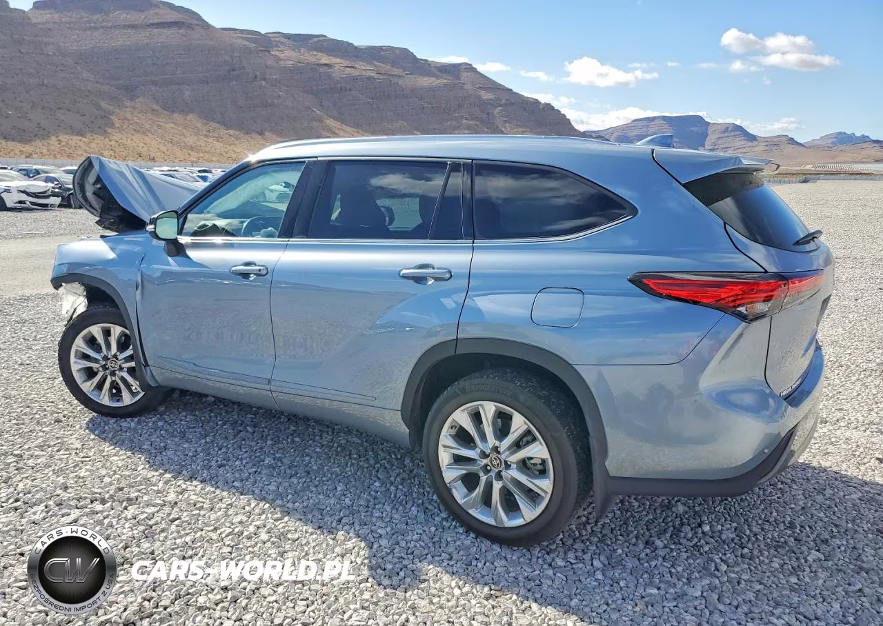 2020 Toyota Highlander Limited VIN:5TDDZRBH2LS029953 - 2