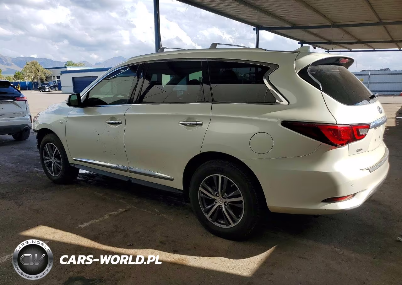 2019 Infiniti Qx60 Luxe VIN:5N1DL0MM5KC516955 - 2