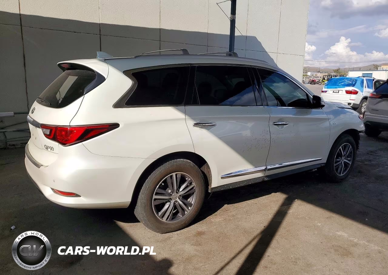 2019 Infiniti Qx60 Luxe VIN:5N1DL0MM5KC516955 - 3