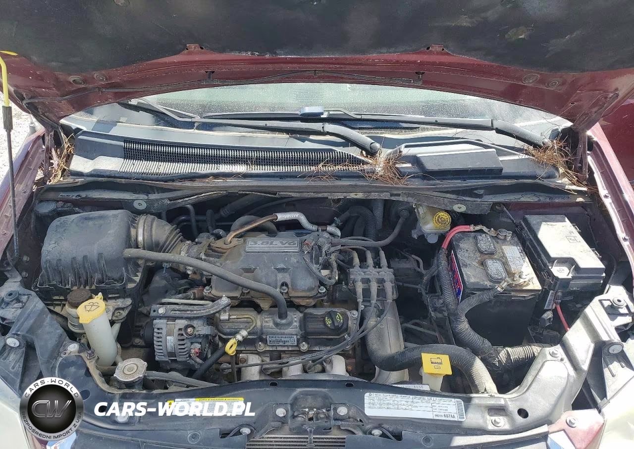 2009 Dodge Grand Caravan Sxt VIN:2D8HN54149R533543 - 12
