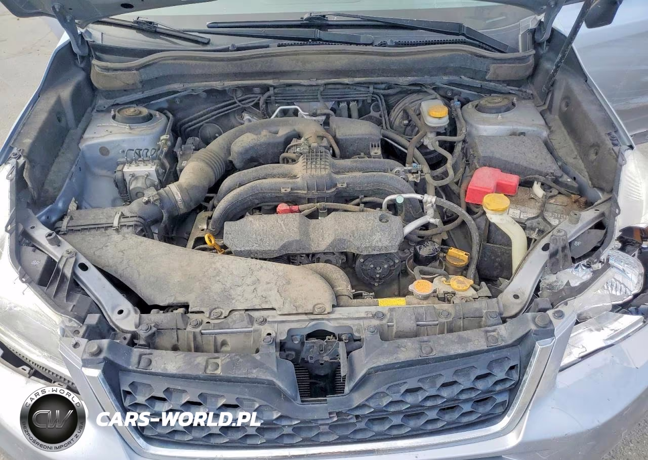 2014 Subaru Forester 2.5I VIN:JF2SJAAC2EH546815 - 12