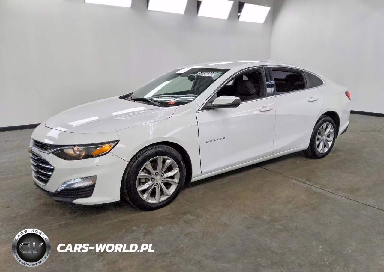 2019 Chevrolet Malibu Lt VIN:1G1ZD5ST7KF132889 - 1