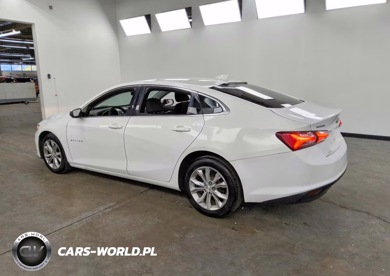 2019 Chevrolet Malibu Lt VIN:1G1ZD5ST7KF132889 - 2