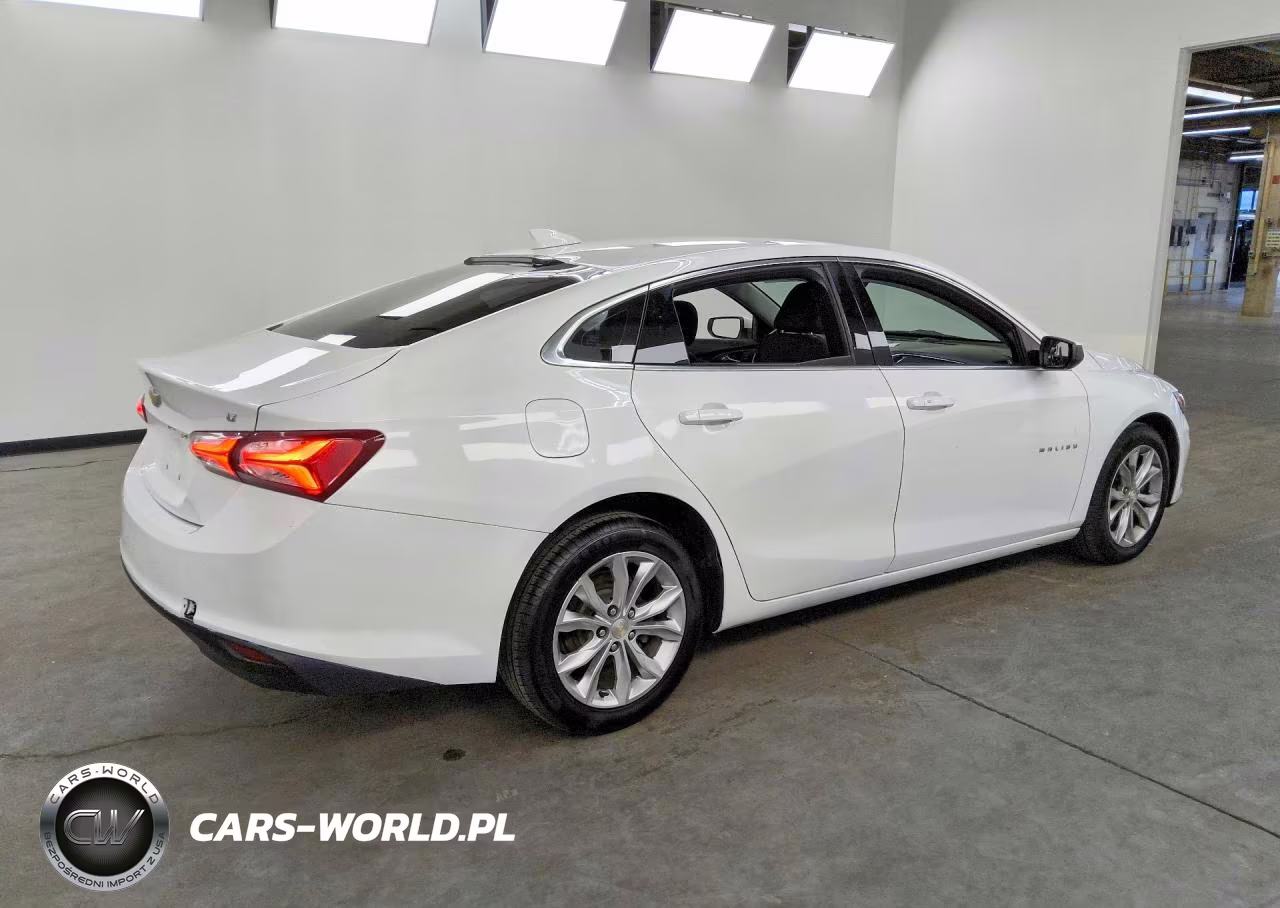 2019 Chevrolet Malibu Lt VIN:1G1ZD5ST7KF132889 - 3