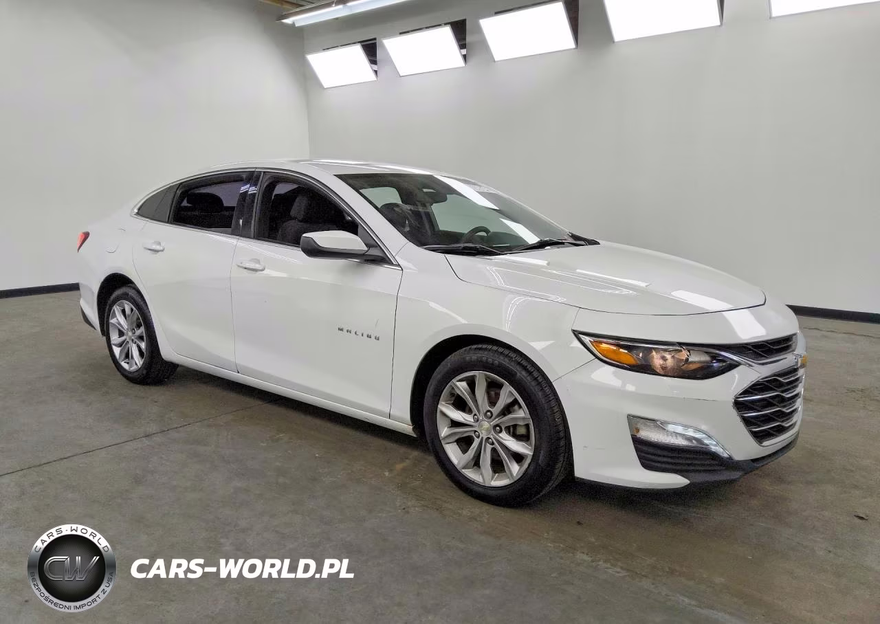 2019 Chevrolet Malibu Lt VIN:1G1ZD5ST7KF132889 - 4