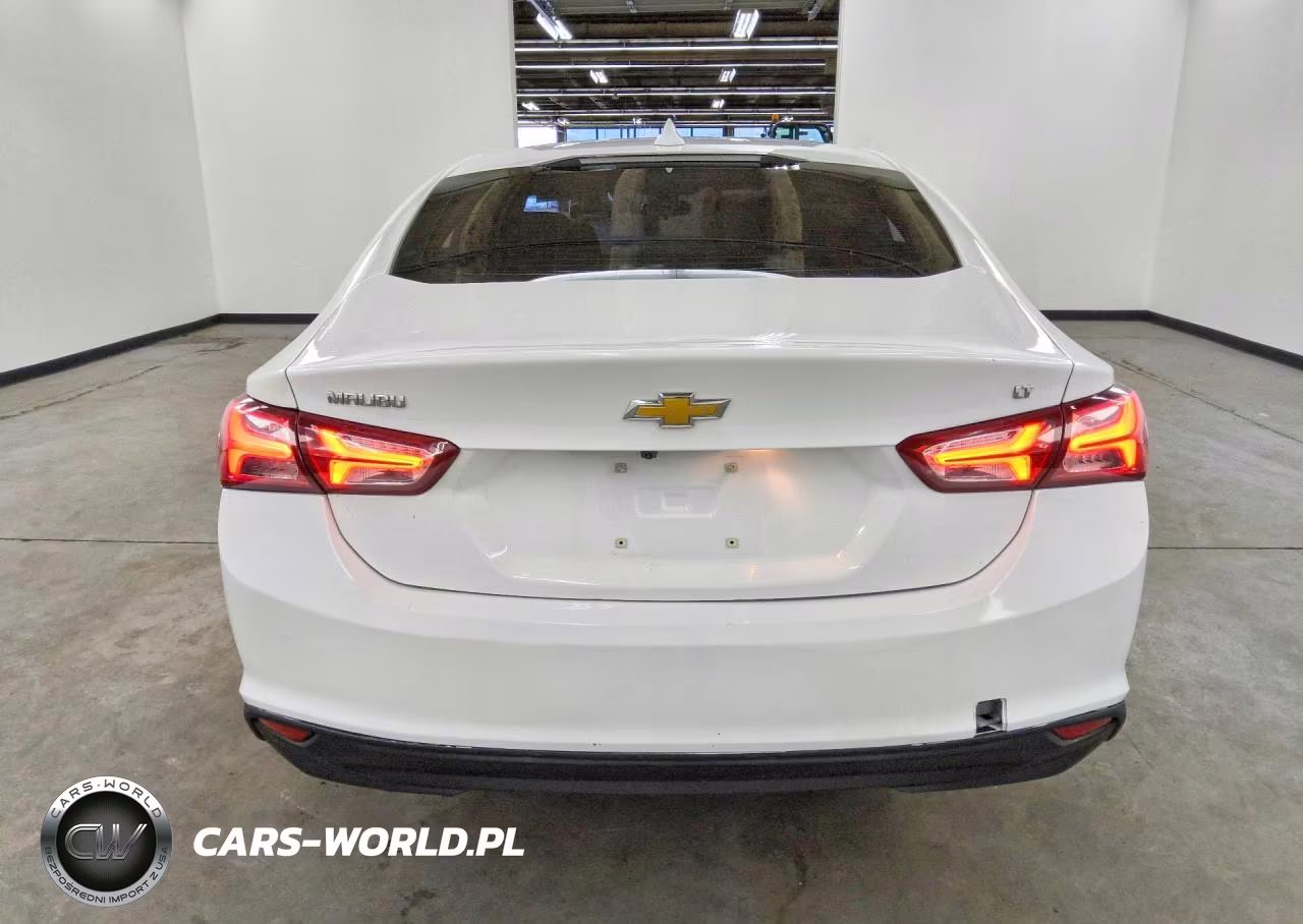 2019 Chevrolet Malibu Lt VIN:1G1ZD5ST7KF132889 - 6
