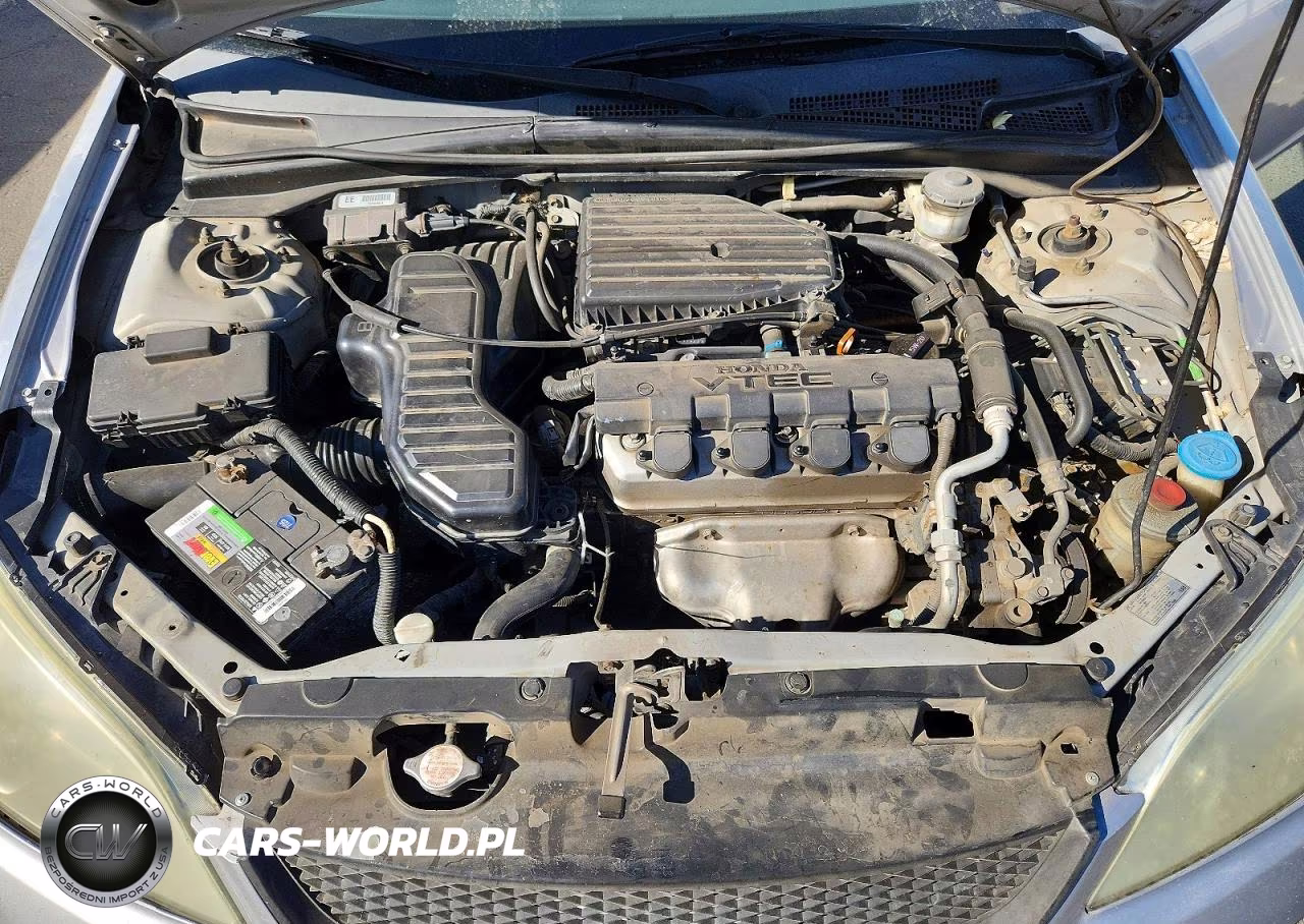 2004 Honda Civic Ex VIN:1HGEM22954L001281 - 11