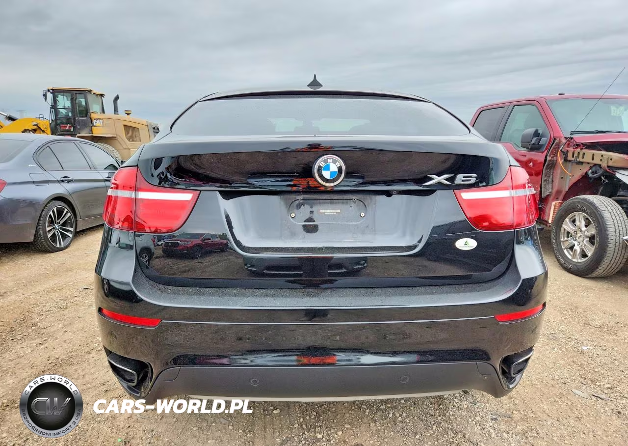 BMW X6 XDRIVE5 VIN:5UXFG8C54DL591836 - 6