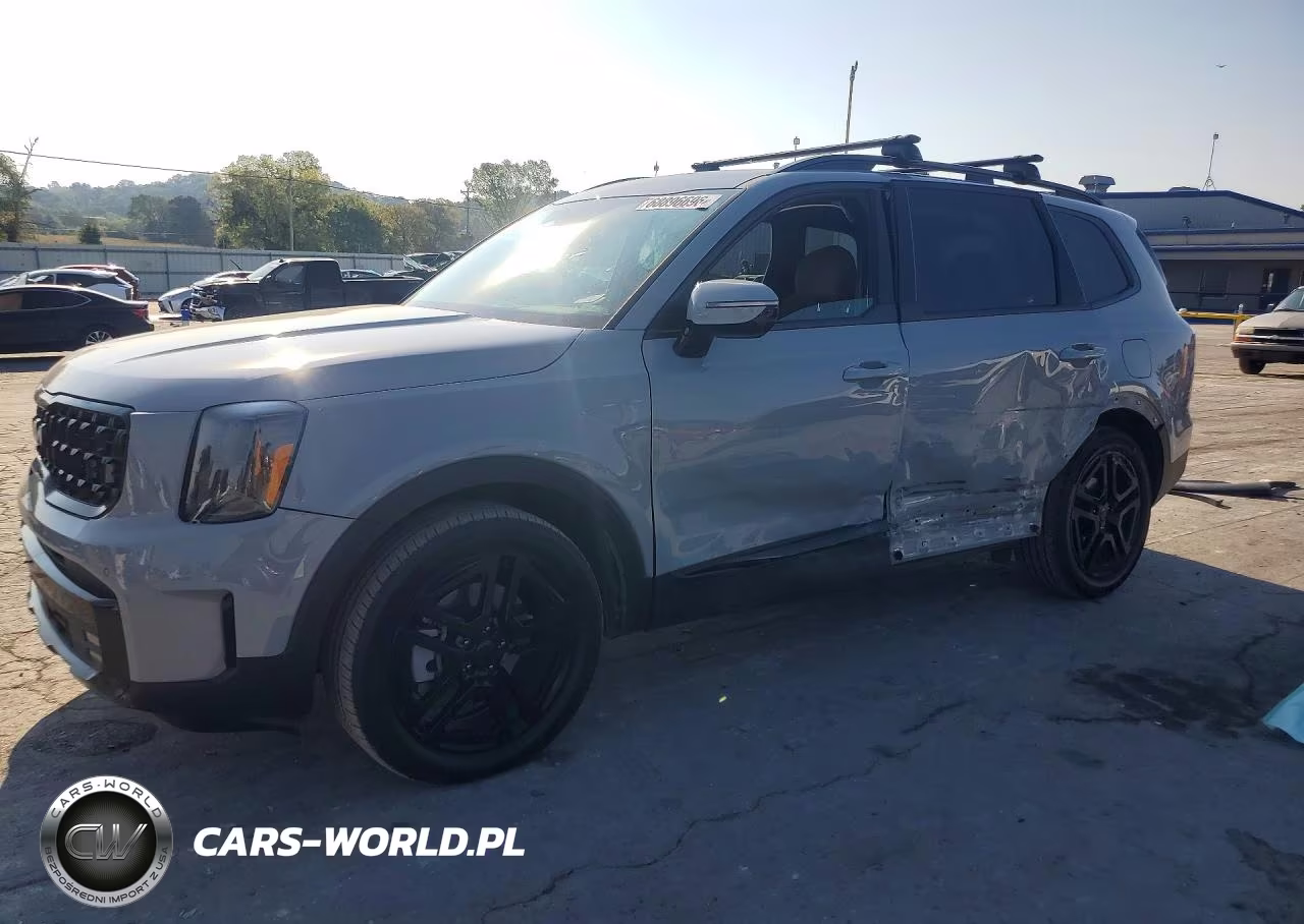 2025 Kia Telluride Sx X-Line VIN:5XYP5DGC3SG617316 - 1