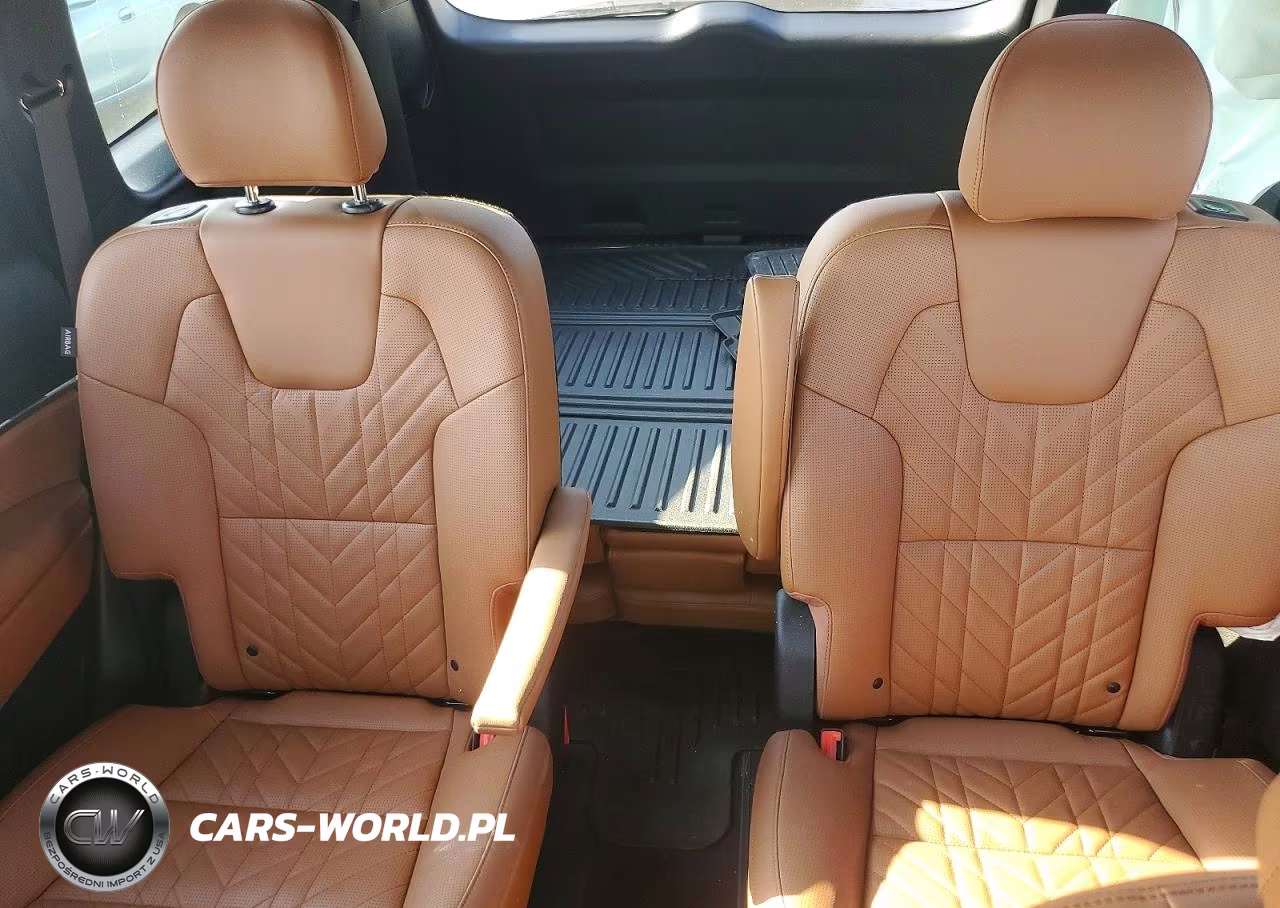 2025 Kia Telluride Sx X-Line VIN:5XYP5DGC3SG617316 - 10