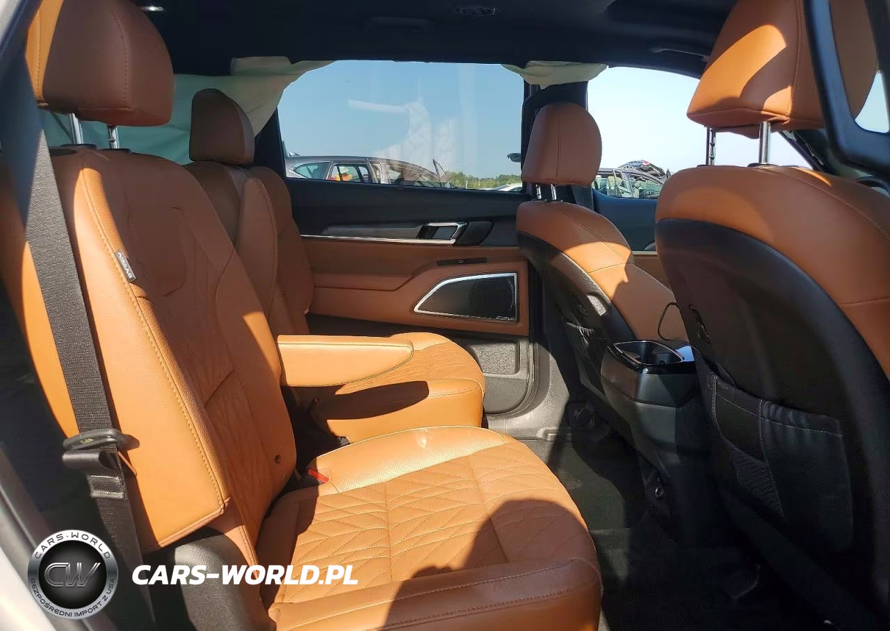 2025 Kia Telluride Sx X-Line VIN:5XYP5DGC3SG617316 - 11