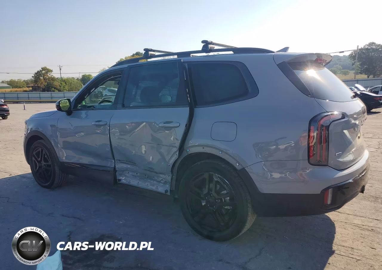 2025 Kia Telluride Sx X-Line VIN:5XYP5DGC3SG617316 - 2