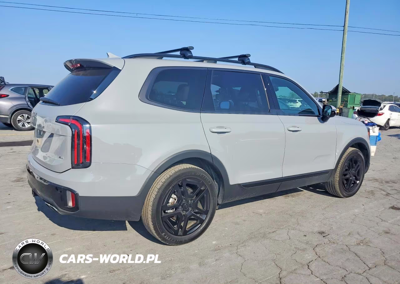 2025 Kia Telluride Sx X-Line VIN:5XYP5DGC3SG617316 - 3