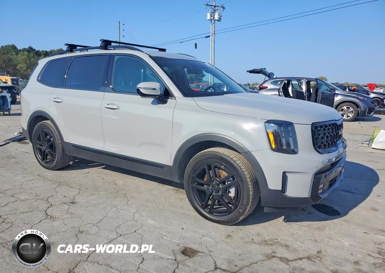 2025 Kia Telluride Sx X-Line VIN:5XYP5DGC3SG617316 - 4