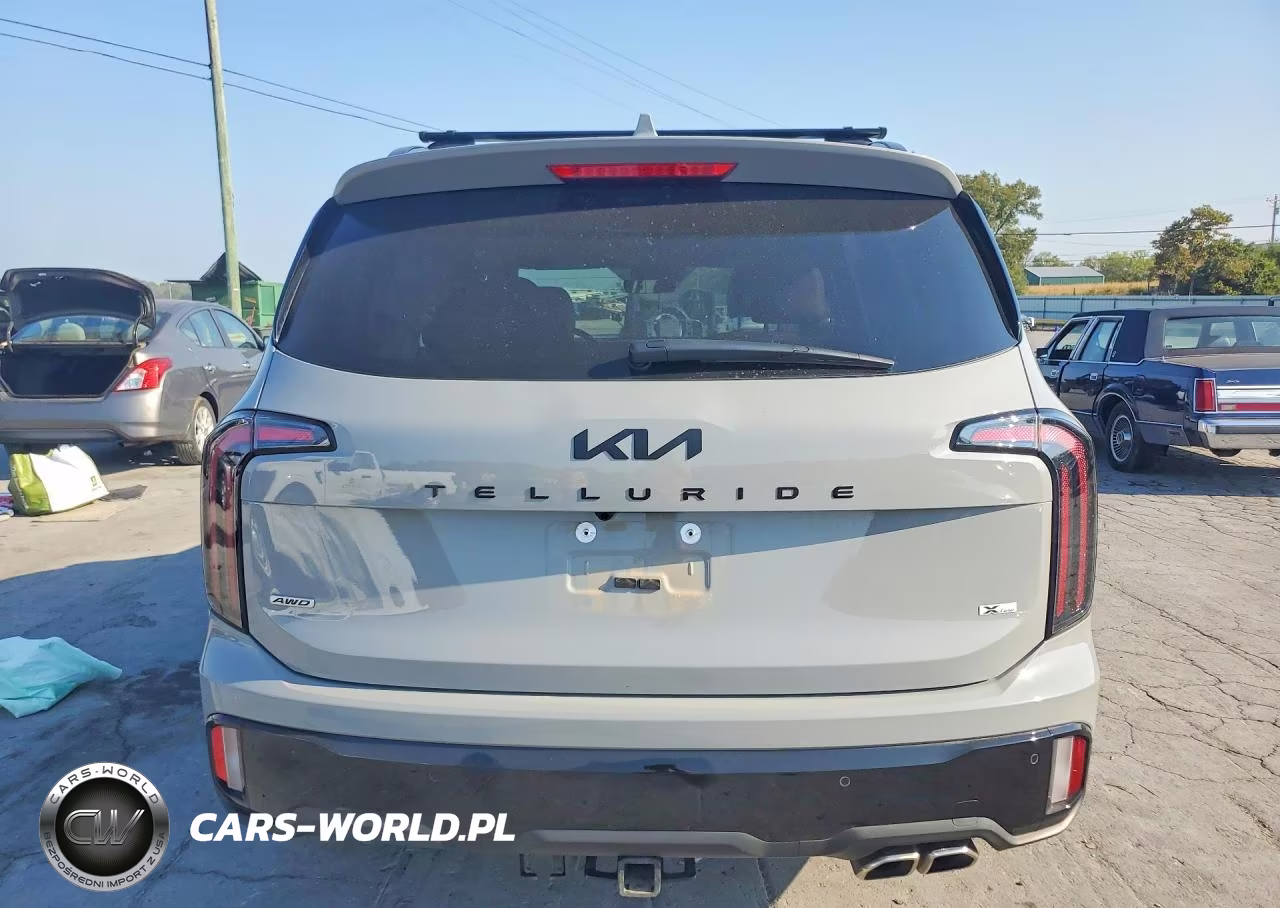 2025 Kia Telluride Sx X-Line VIN:5XYP5DGC3SG617316 - 6