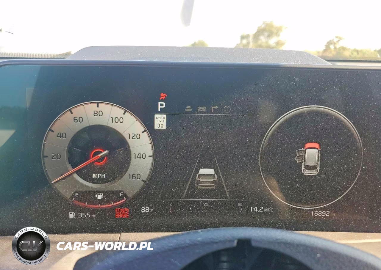 2025 Kia Telluride Sx X-Line VIN:5XYP5DGC3SG617316 - 9