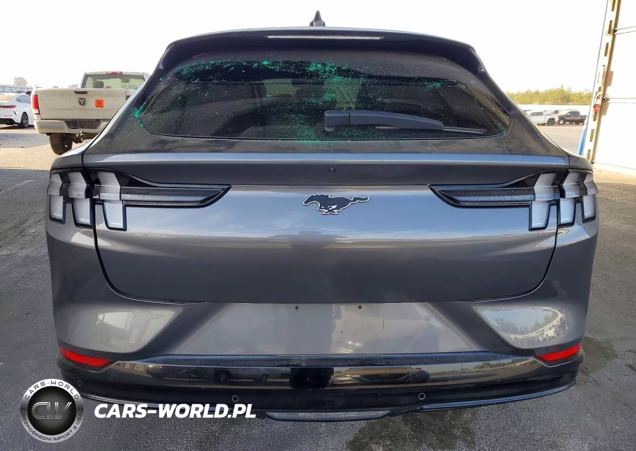 2023 Ford Mustang Mach-E Premium VIN:3FMTK3SU1PMA87564 - 6