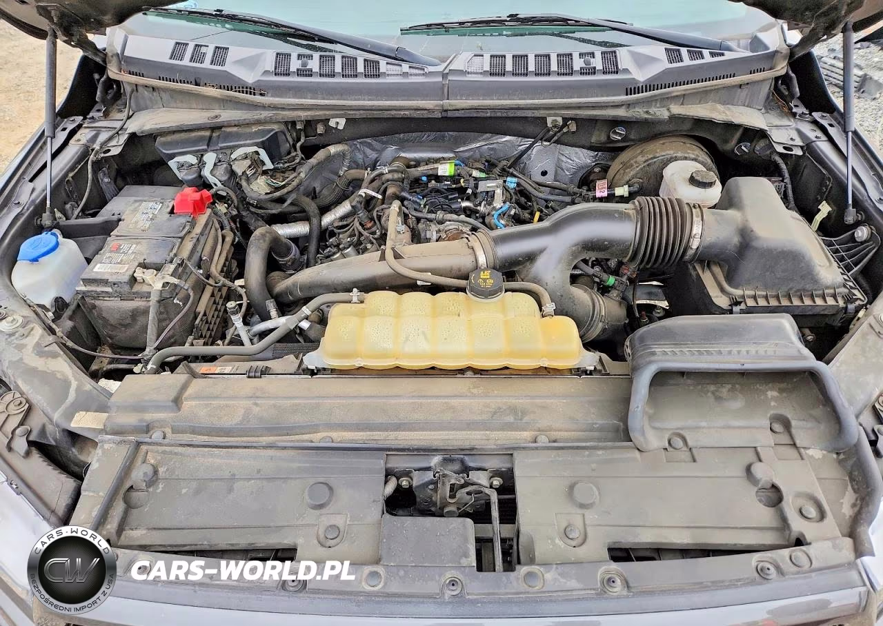 2019 Ford F150 Supercrew VIN:1FTEW1CP5KKD56681 - 11