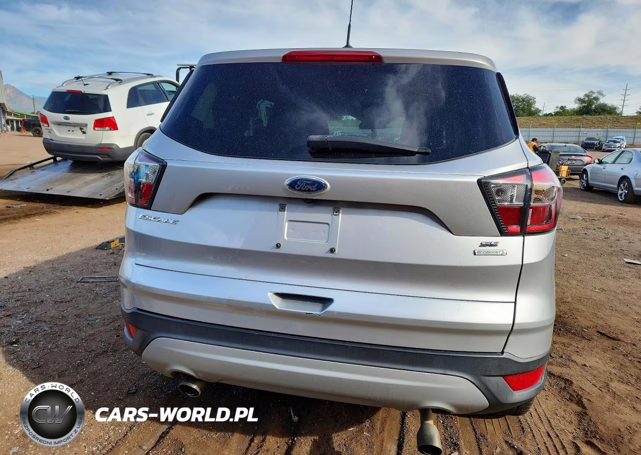 2017 Ford Escape Se VIN:1FMCU0G95HUA24767 - 6
