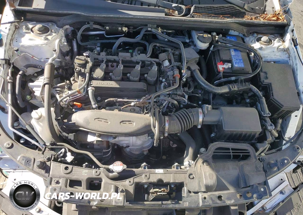 2024 Honda Civic Exl VIN:19XFL1H70RE002442 - 11