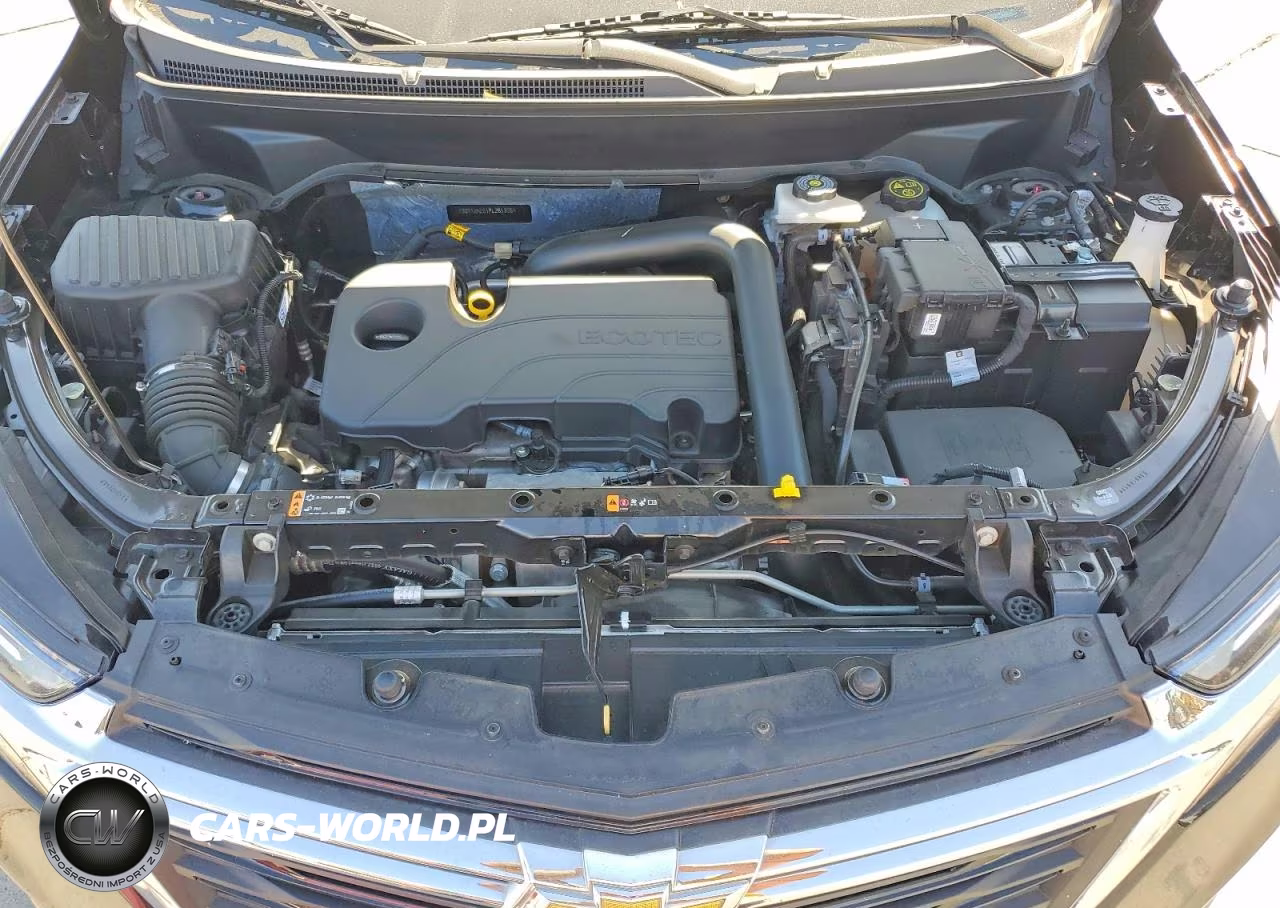 2023 Chevrolet Equinox Lt VIN:3GNAXKEG1PL261305 - 12