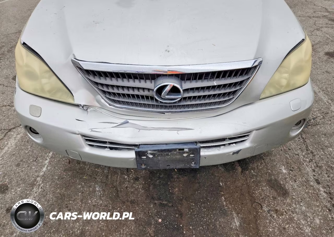 2006 Lexus Rx 400 VIN:JTJGW31U460001979 - 12