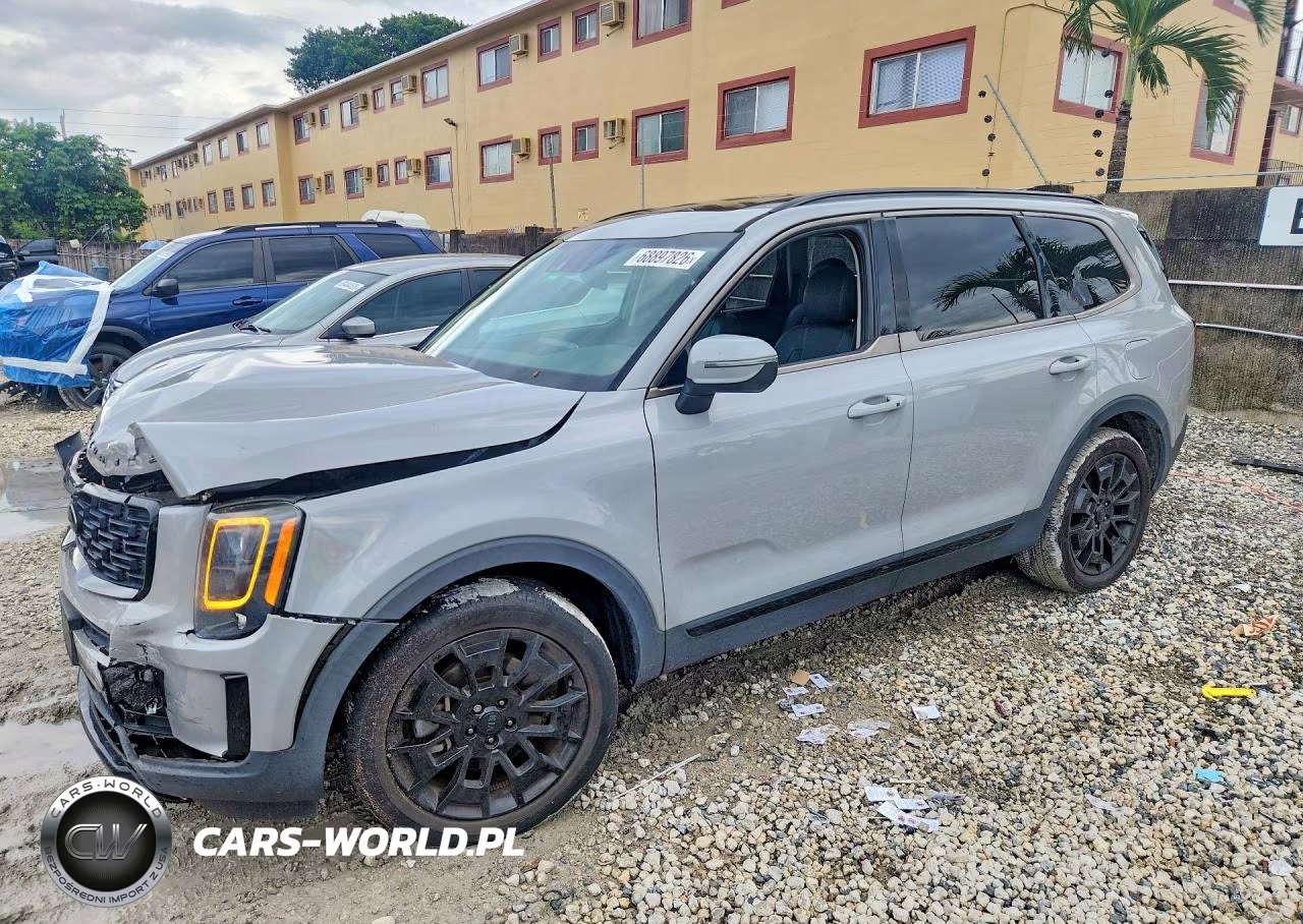 2021 Kia Telluride Ex VIN:5XYP3DHCXMG143419 - 1