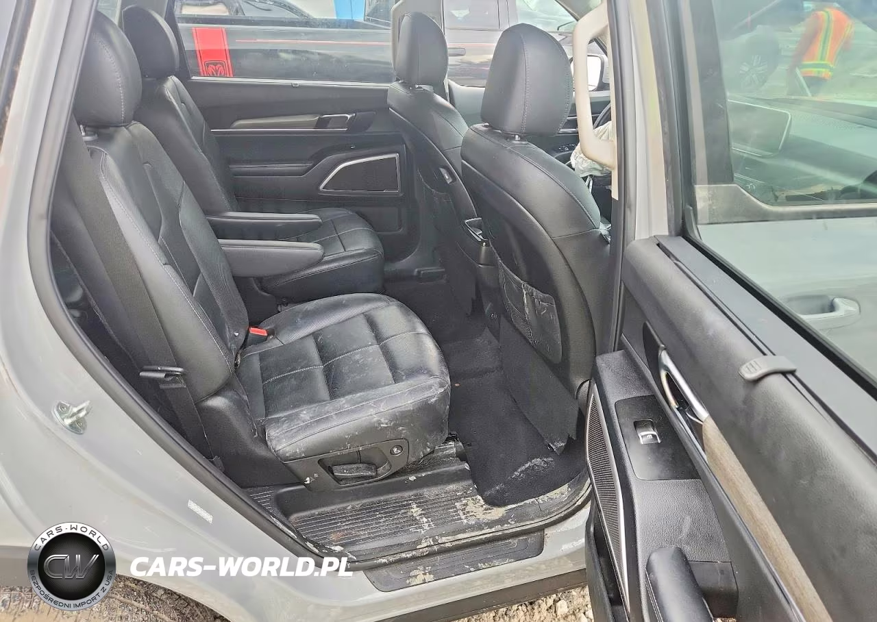 2021 Kia Telluride Ex VIN:5XYP3DHCXMG143419 - 10