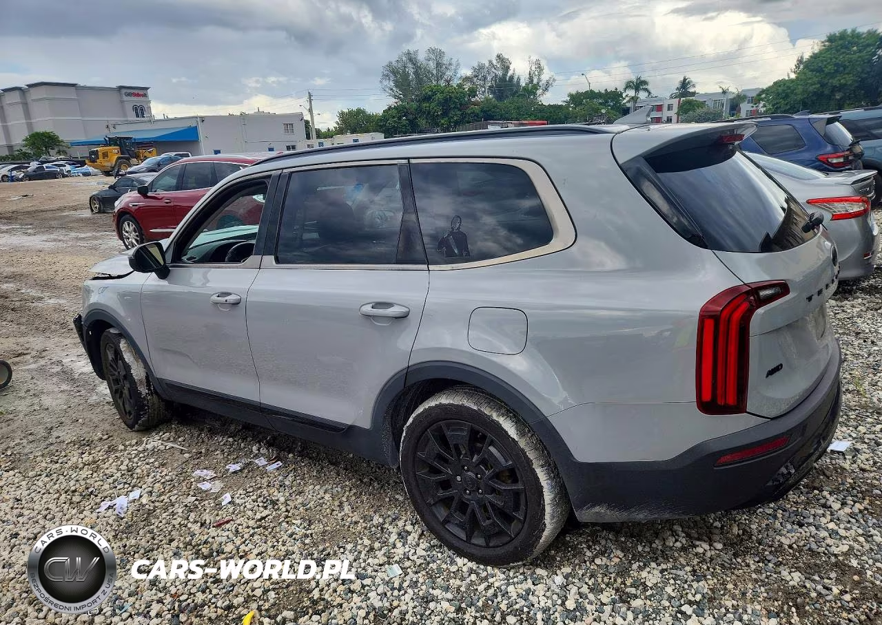 2021 Kia Telluride Ex VIN:5XYP3DHCXMG143419 - 2