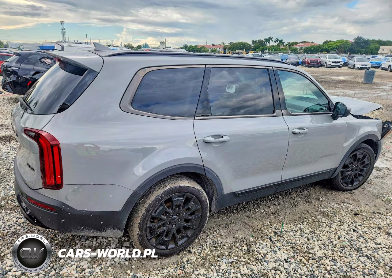 2021 Kia Telluride Ex VIN:5XYP3DHCXMG143419 - 3