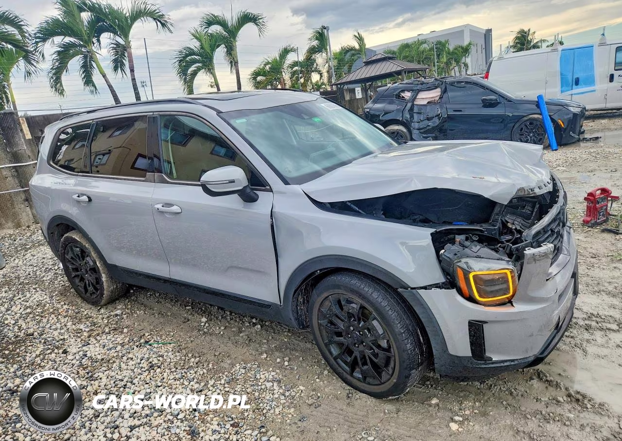 2021 Kia Telluride Ex VIN:5XYP3DHCXMG143419 - 4