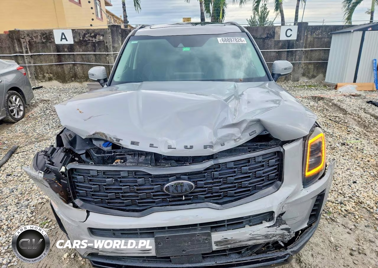 2021 Kia Telluride Ex VIN:5XYP3DHCXMG143419 - 5
