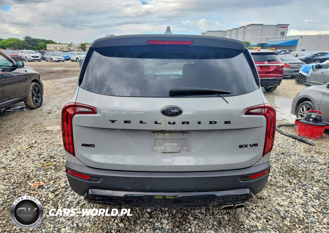 2021 Kia Telluride Ex VIN:5XYP3DHCXMG143419 - 6