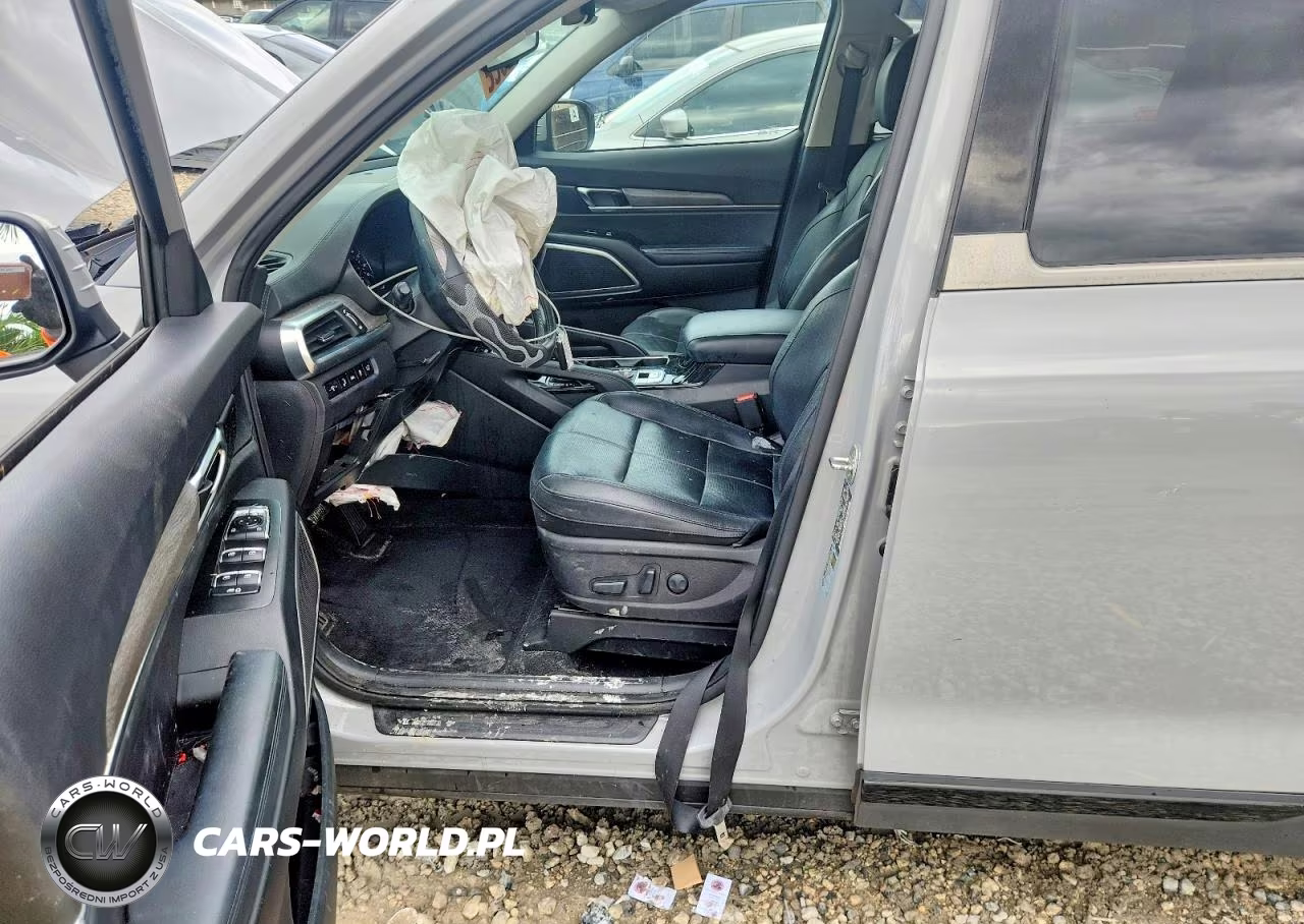 2021 Kia Telluride Ex VIN:5XYP3DHCXMG143419 - 7