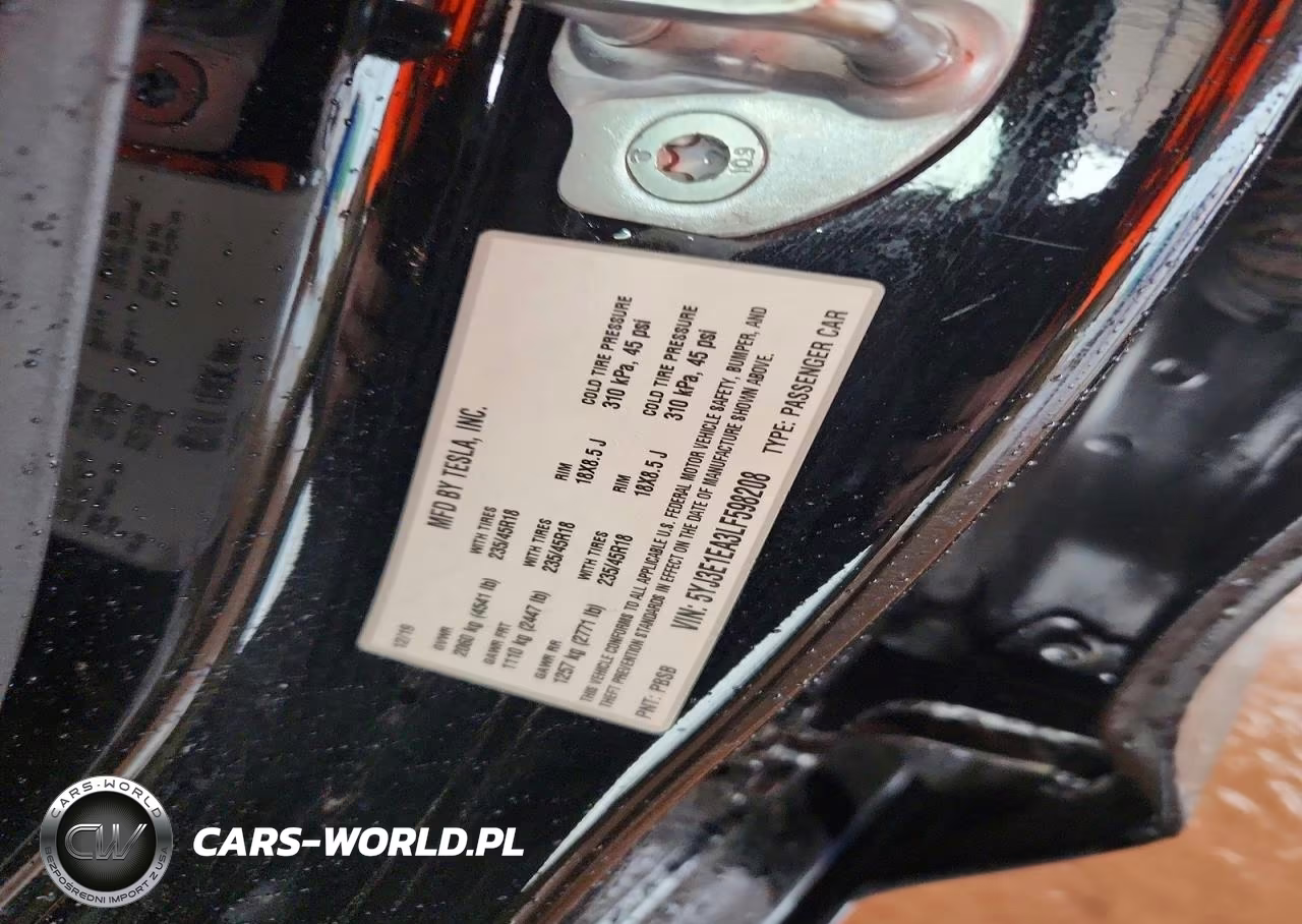 2020 Tesla Model 3 VIN:5YJ3E1EA3LF598208 - 12